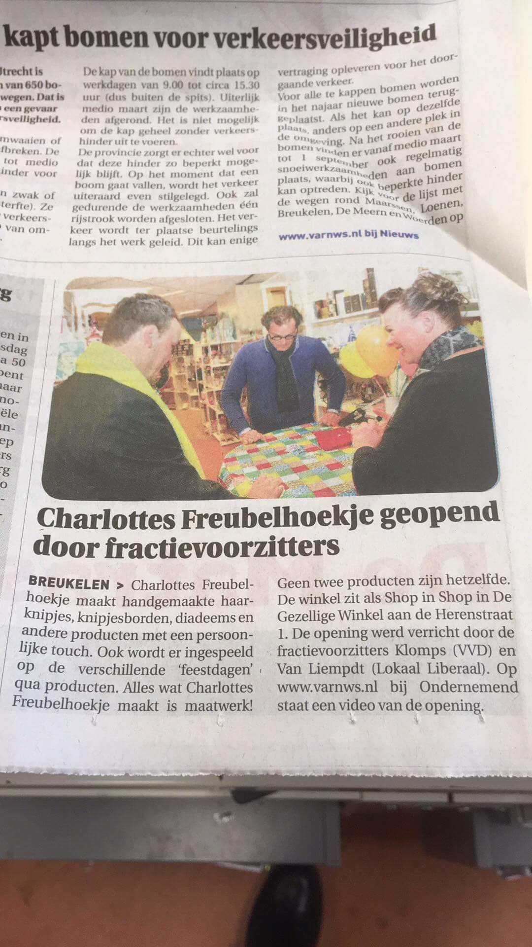 Vechtstroom 21-02-2018